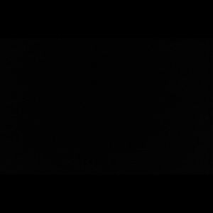 Meet your Posher, Hazel